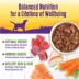 Wellness® Stews All Life Stage Wet Dog Food - Natural image thumbnail 5