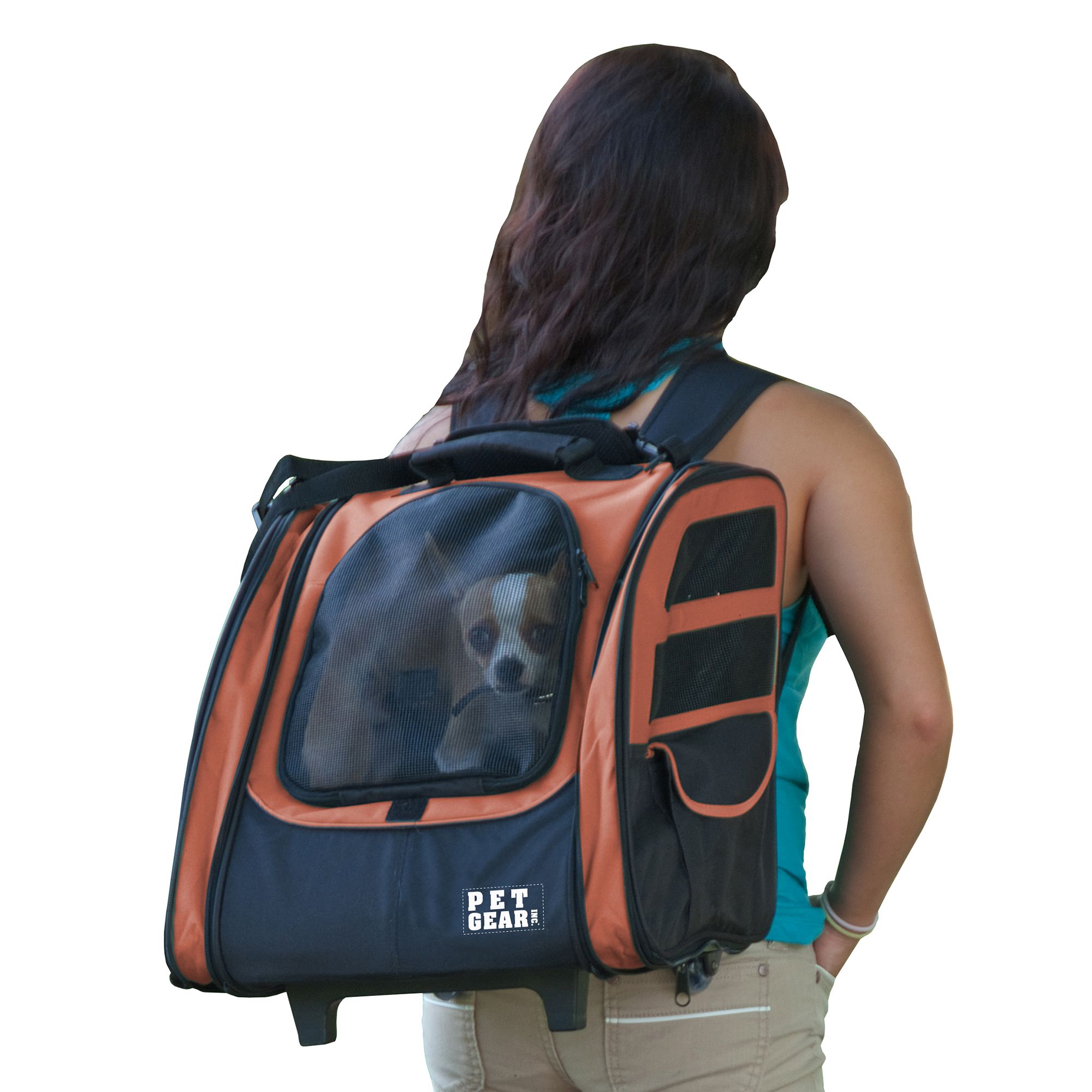 petsmart cat backpack