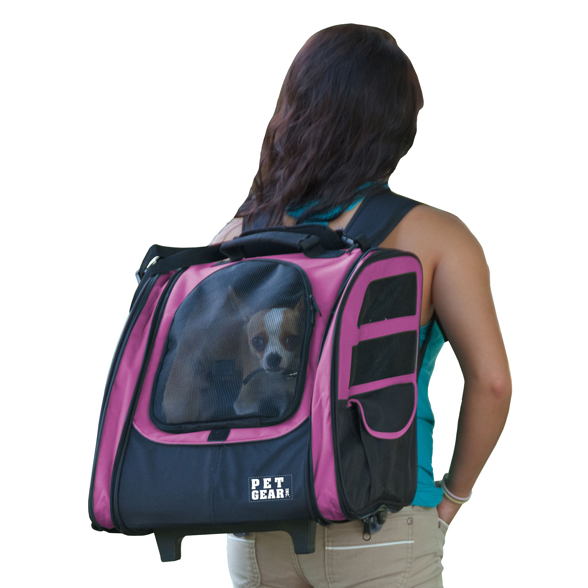 Petsmart backpack shop