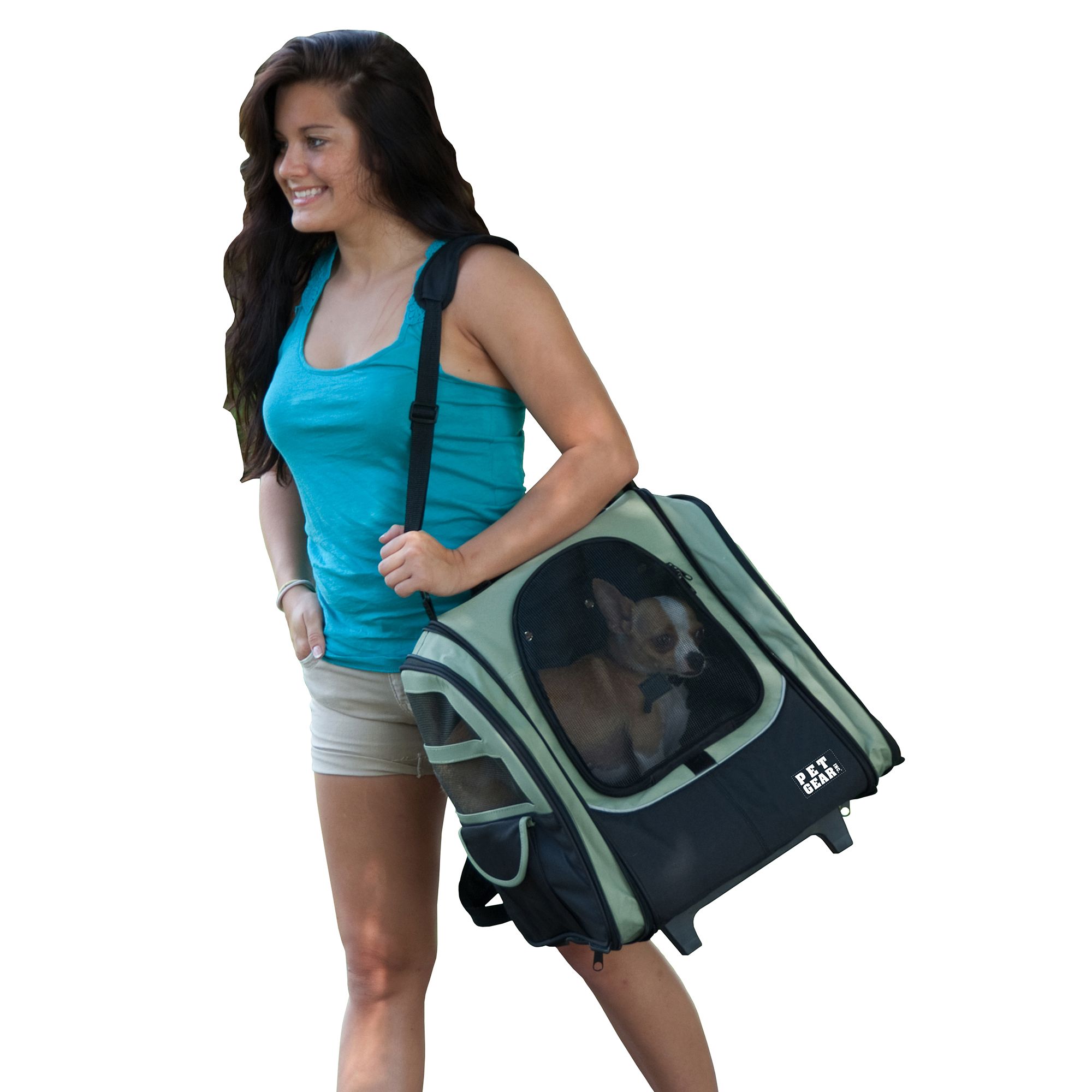 Pet Gear I GO2 Traveler Pet Carrier Sage