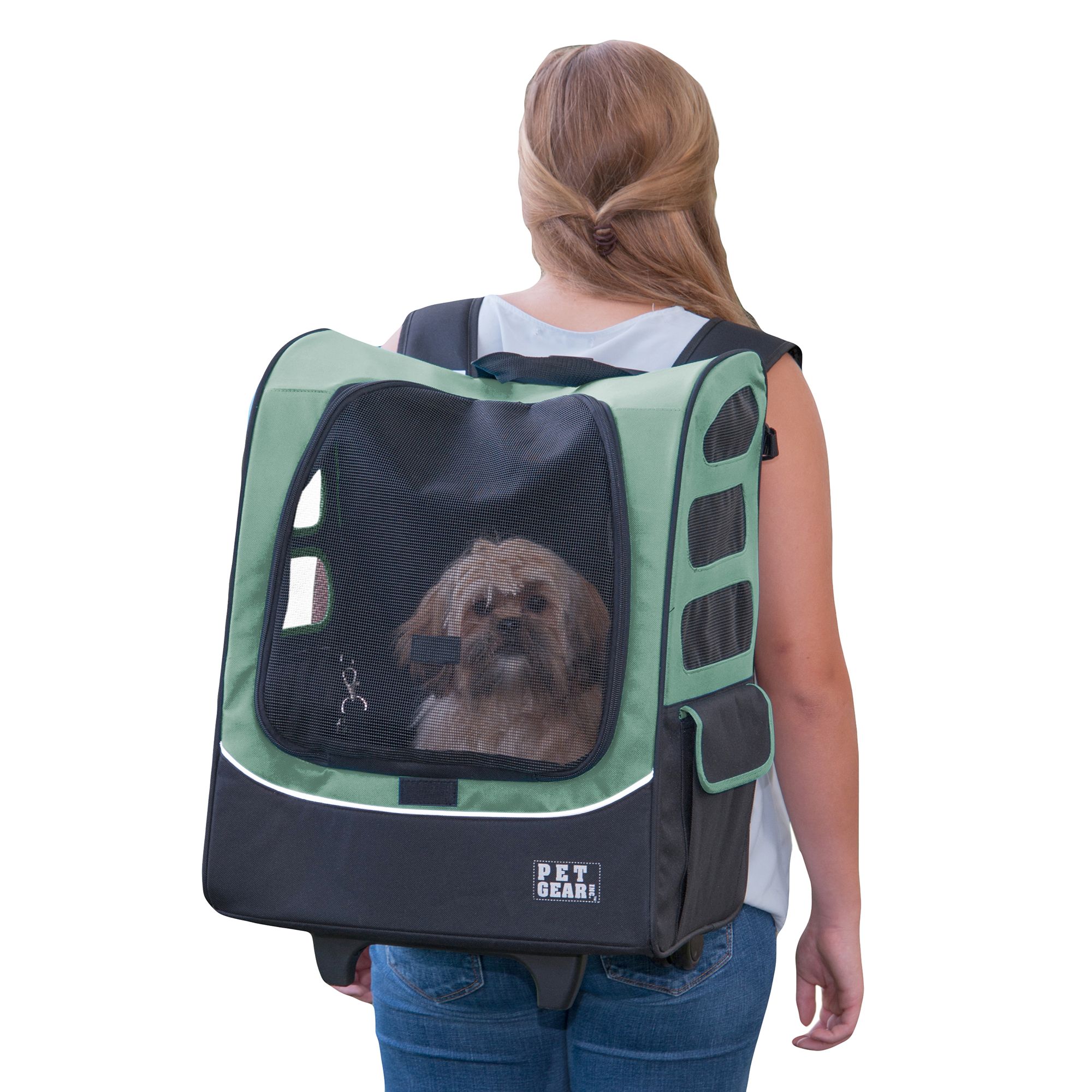 clear dog backpack