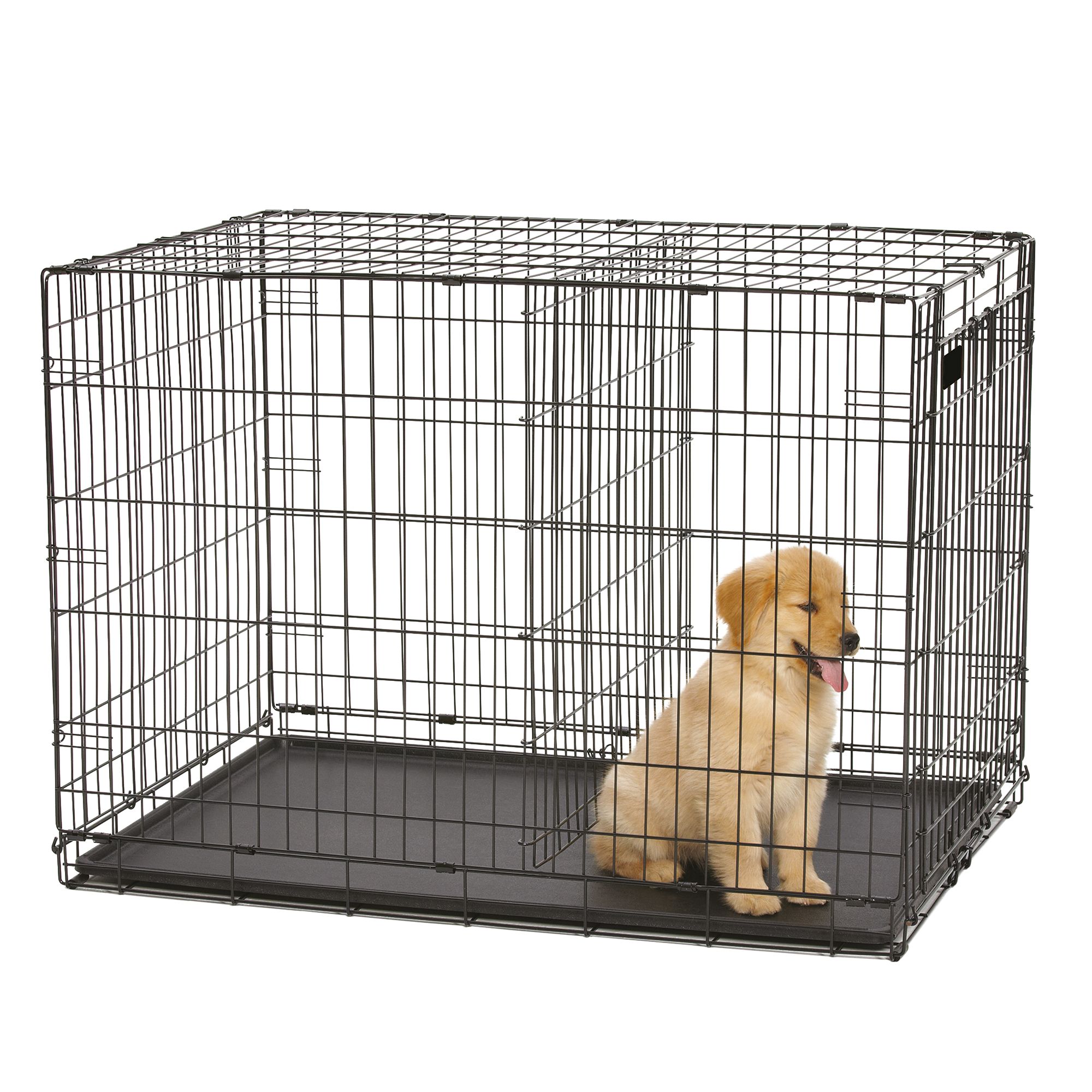 little dog cages