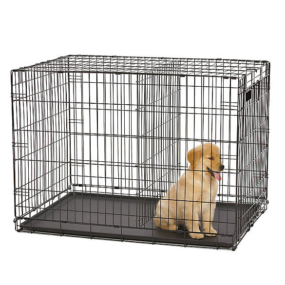 Top Paw 36 Inch Wire Dog Crate Double Door Dog Carriers Crates Petsmart