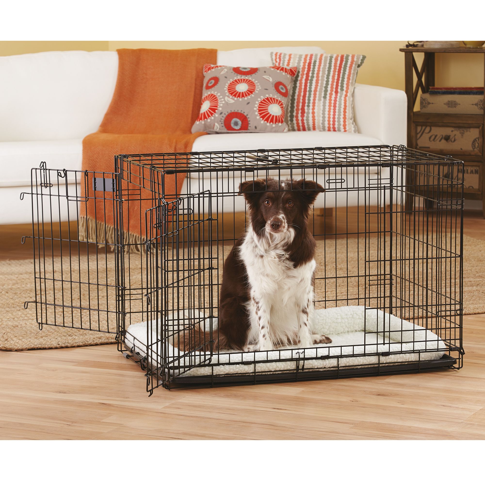 little dog cages