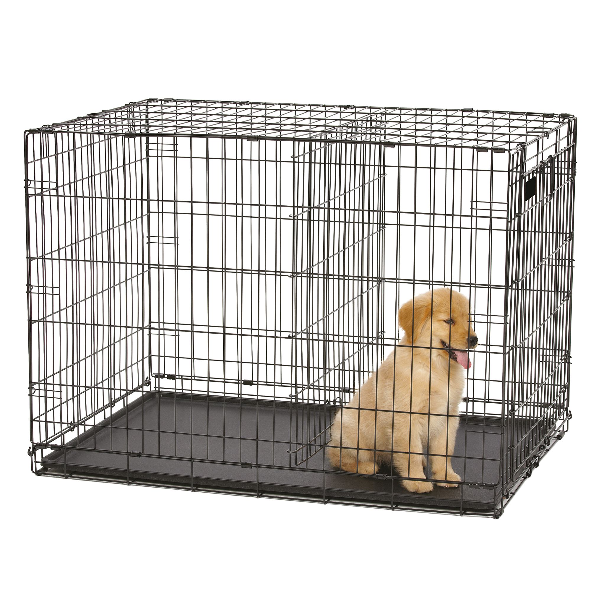 petsmart wire dog crate