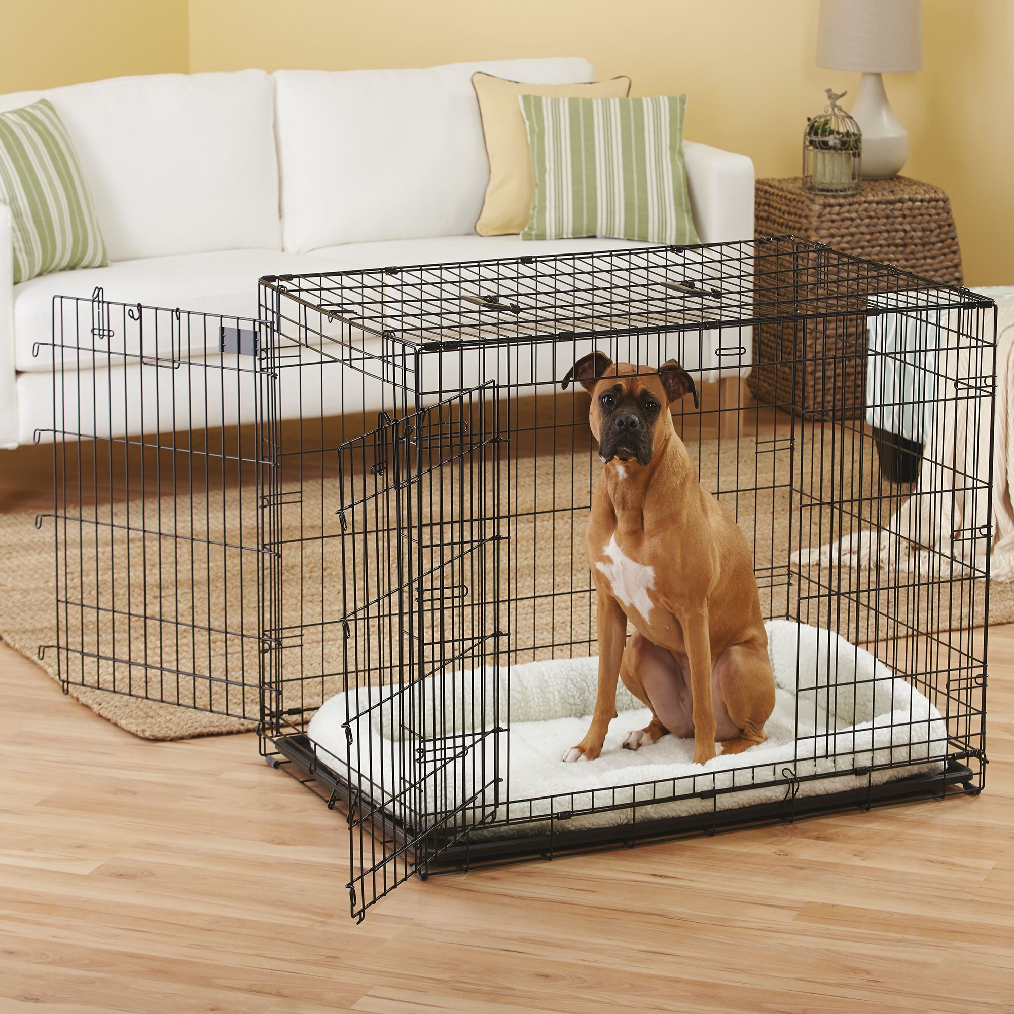 top paw 42 double door crate