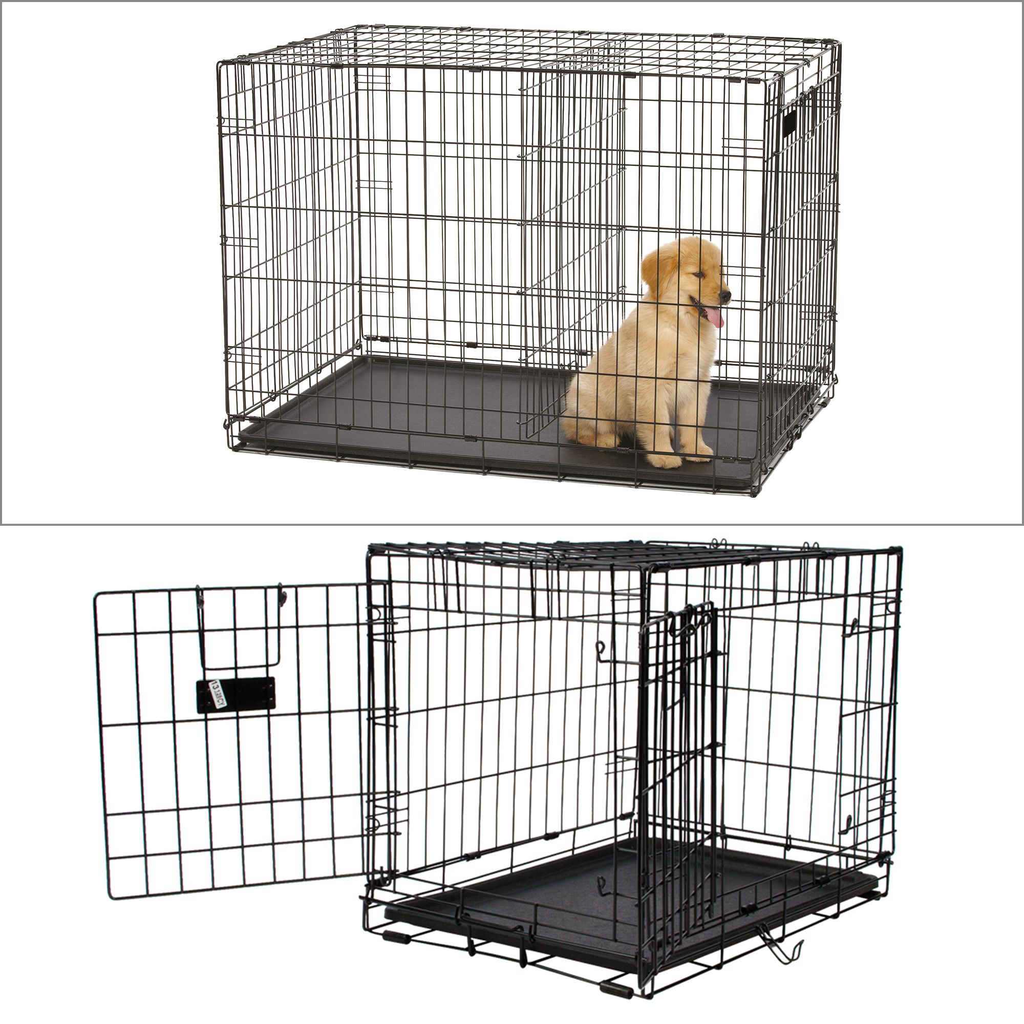 pop up dog crate petsmart