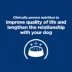 Hill's® Prescription Diet® k/d Kidney Care Adult Dog Food - Chicken image thumbnail 5