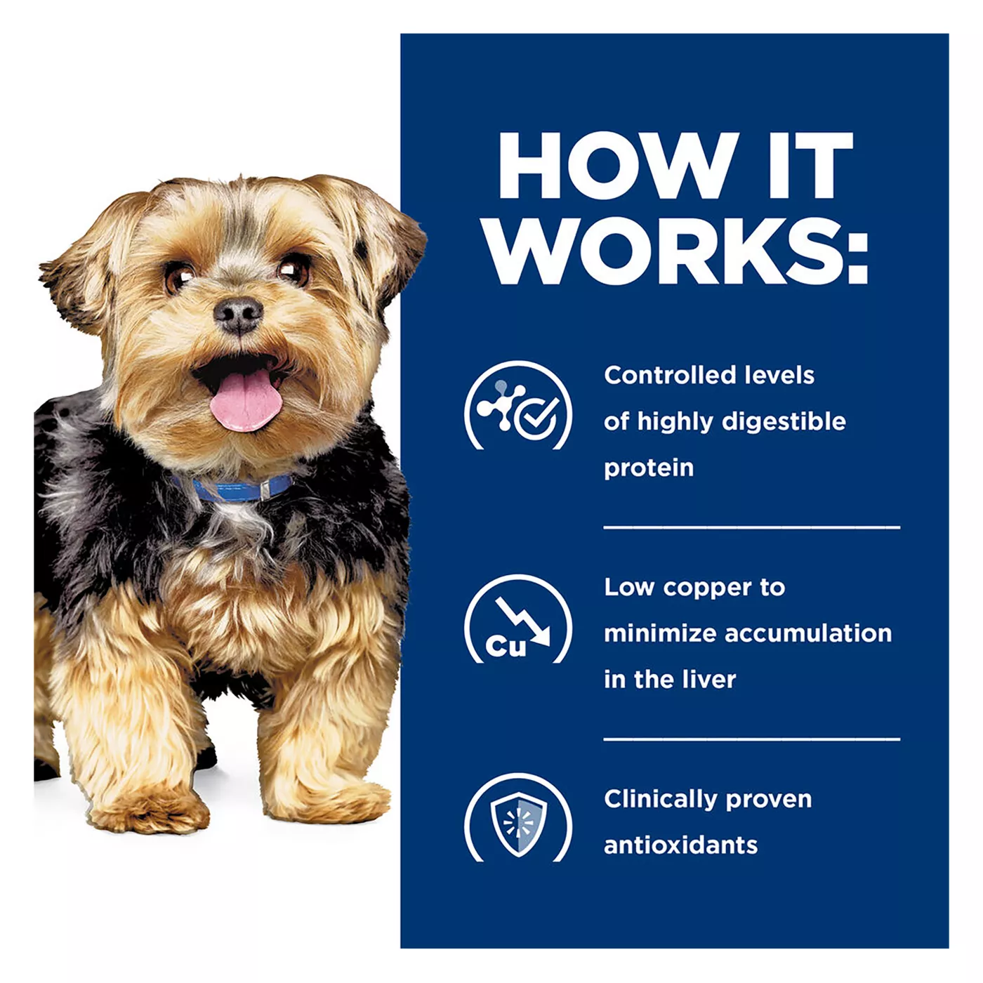 Hills prescription diet ld hotsell