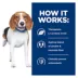 Hill's® Prescription Diet® r/d Weight Reduction Adult Dog Food - Chicken image thumbnail 6