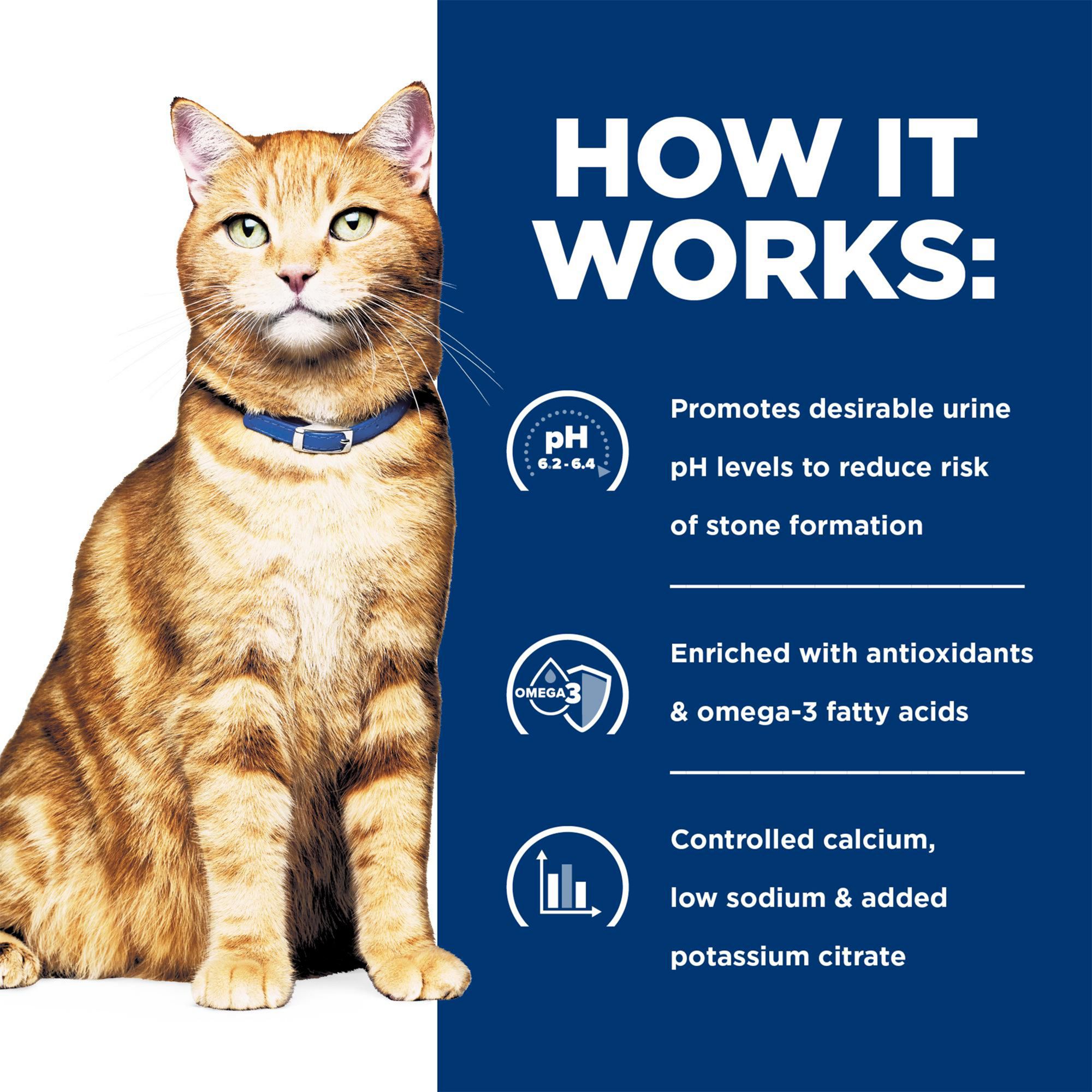 Hill's® Prescription Diet® c/d Multicare Urinary Care Dry Cat Food