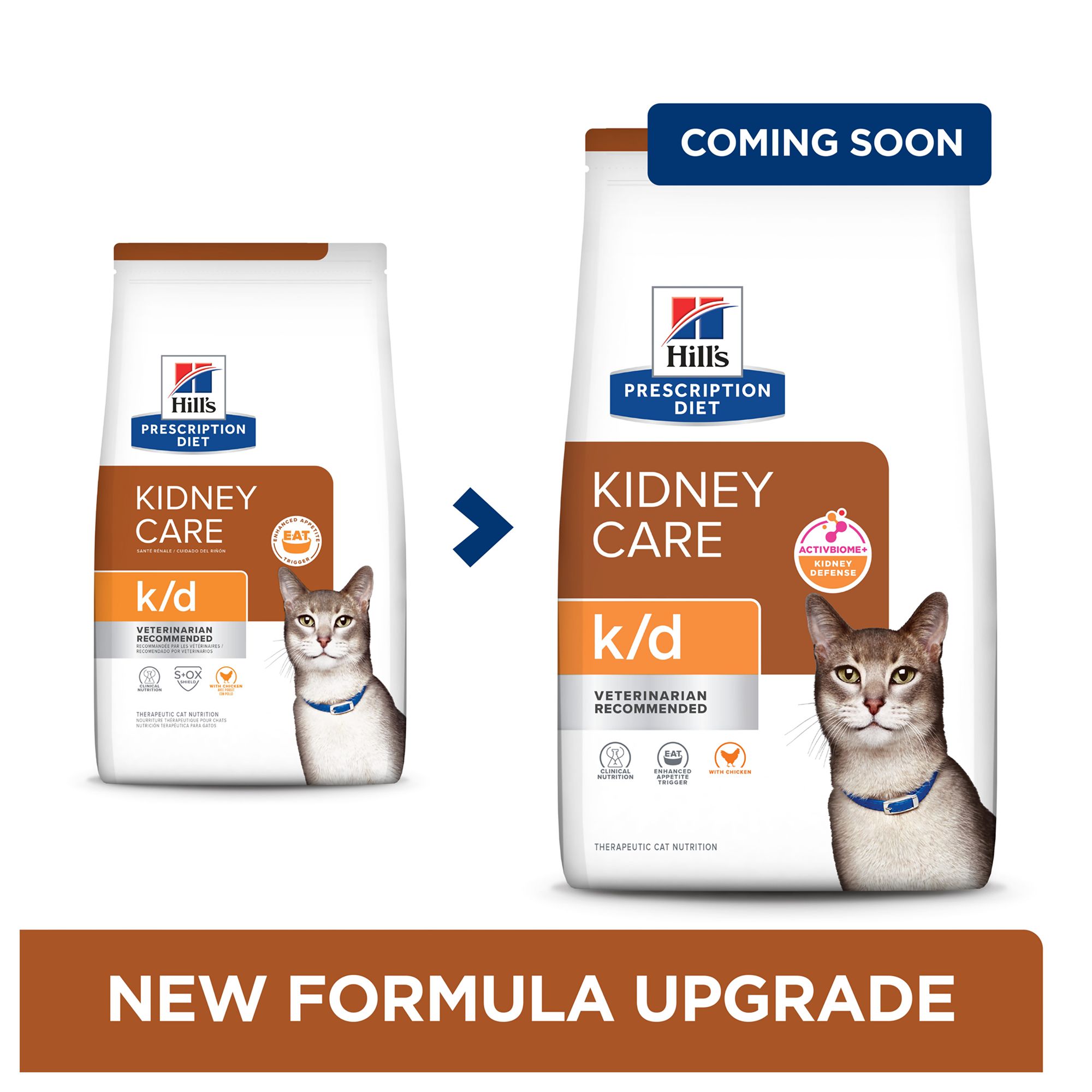 hills kidney care dry cat food