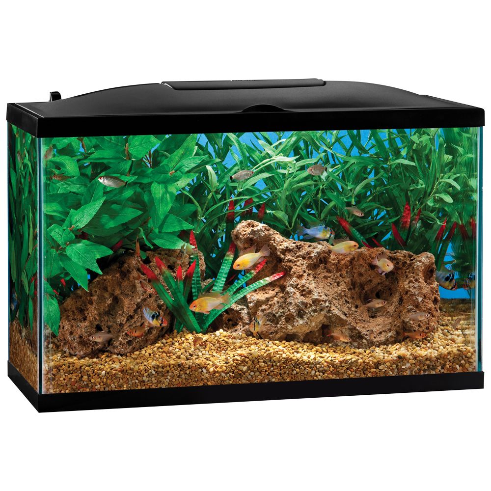Marineland ® BioWheel LED Aquarium Kit fish Starter Kits Pet