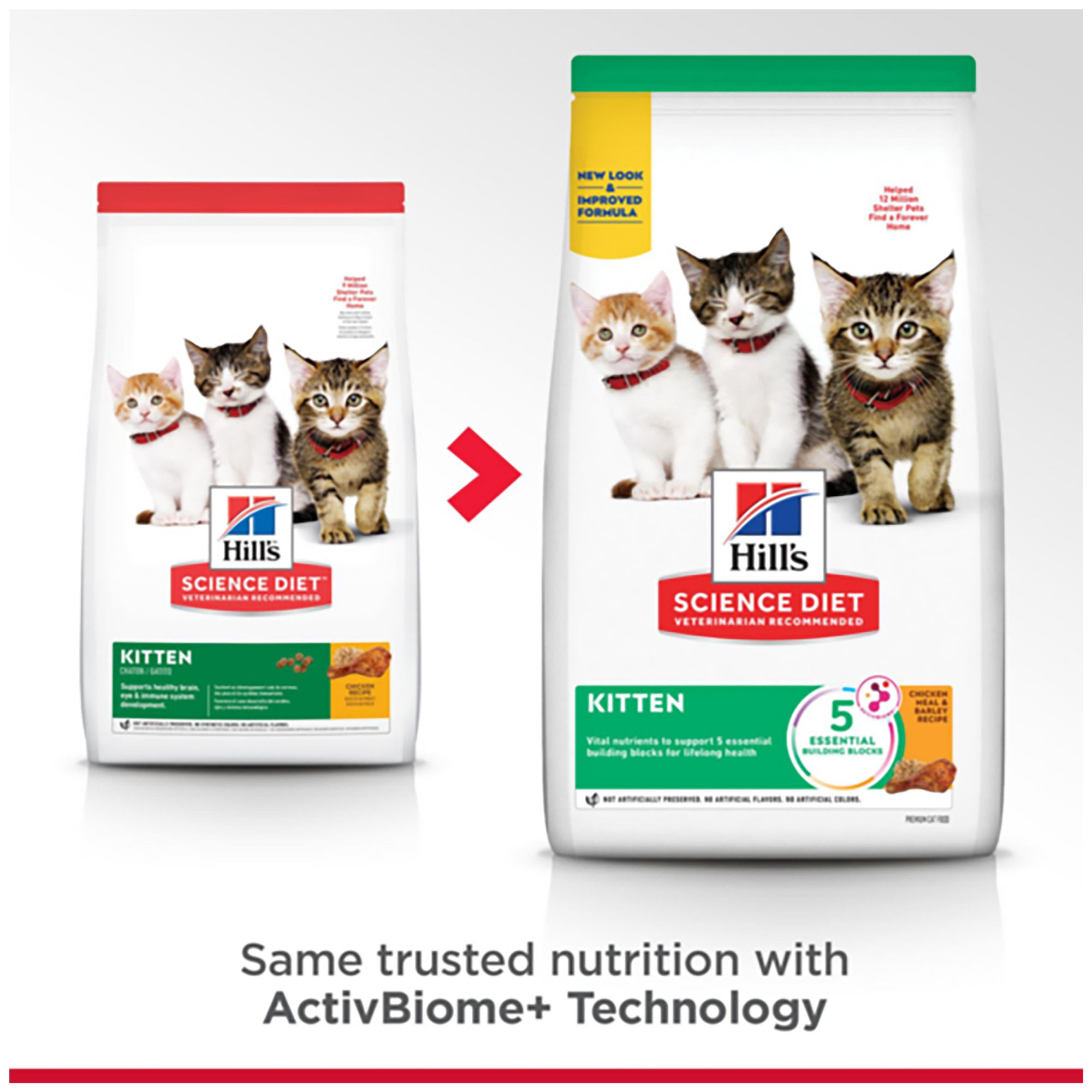 petsmart science diet kitten