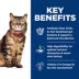 Hill's® Science Diet® Sensitive Stomach & Skin Adult Dry Cat Food - Chicken image thumbnail 5