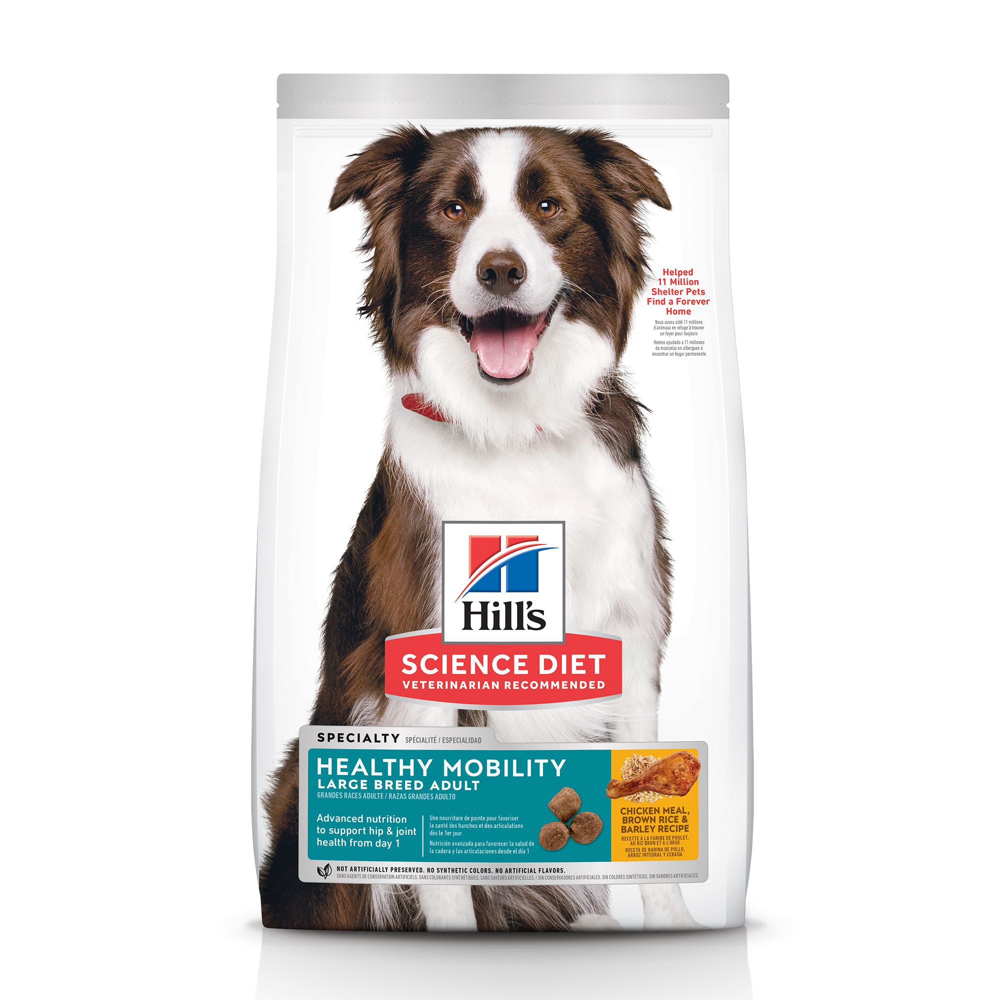 hills large breed dog food