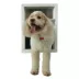 Perfect Pet Multiflex Door Entry Pet Door image thumbnail 3