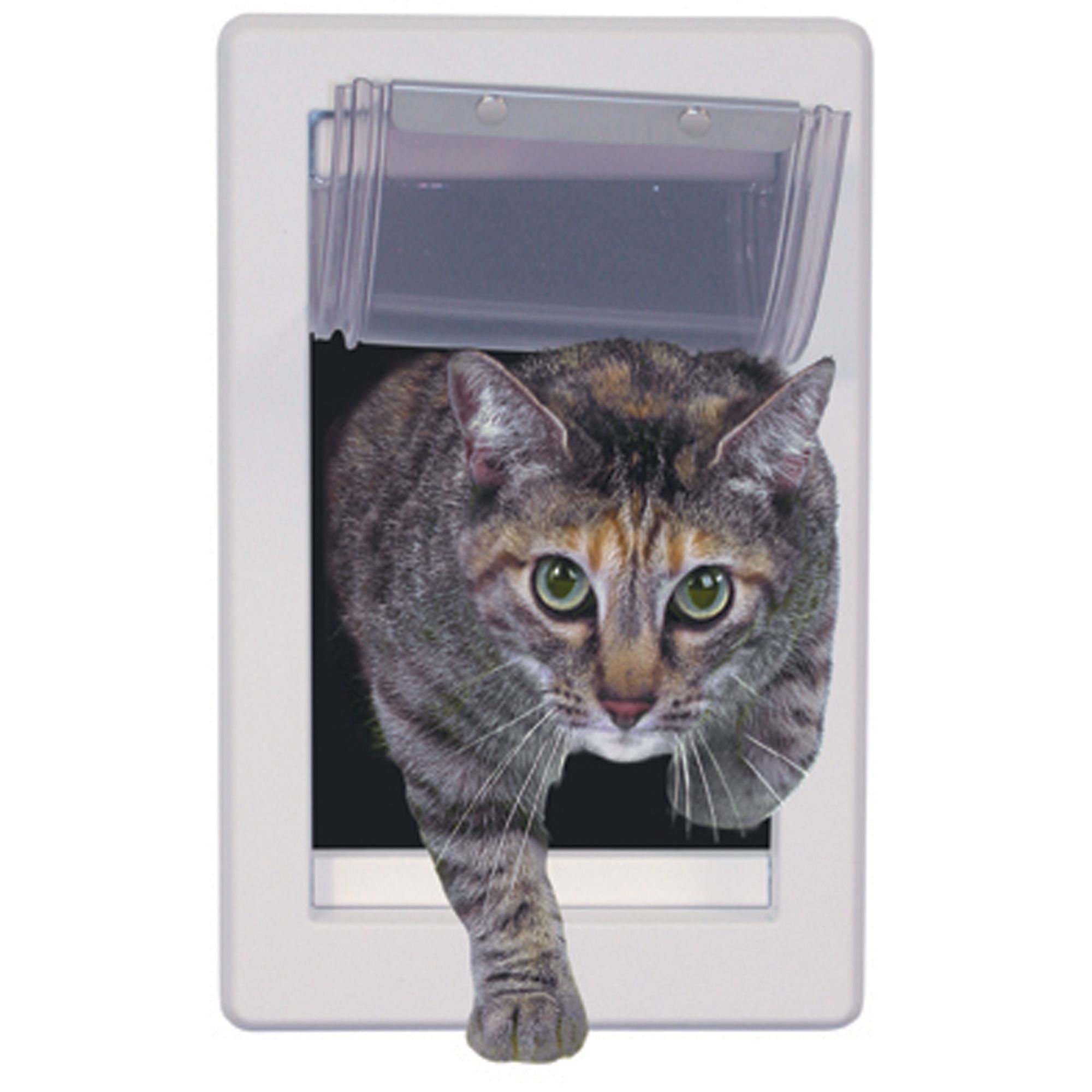 perfect pet cat door