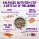 Product Wellness® Stews All Life Stage Wet Dog Food - Natural