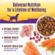 Product Wellness® Stews All Life Stage Wet Dog Food - Natural