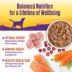 Wellness® Stews All Life Stage Wet Dog Food - Natural image thumbnail 5