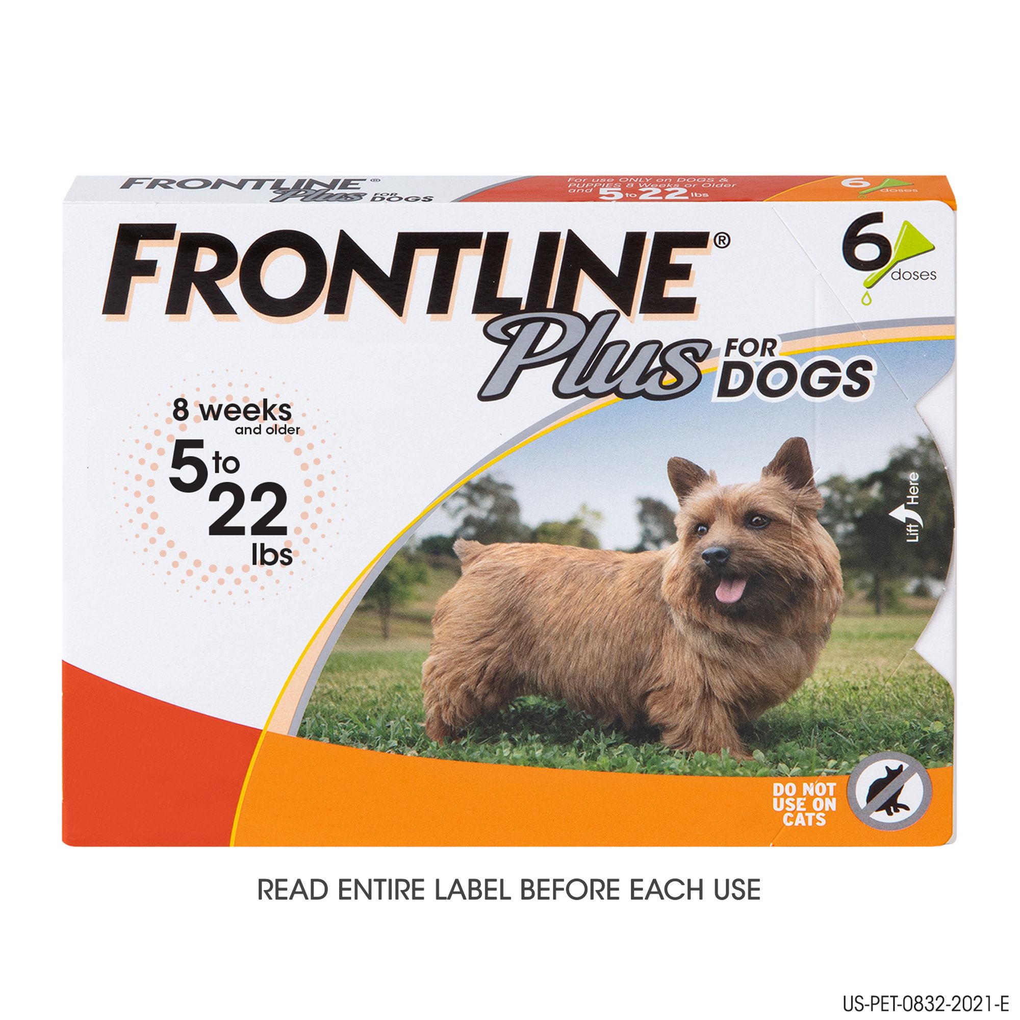 dog insects medicine