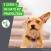 Frontline Plus Flea & Tick Spot Treatment for Large Dogs, 45-88 lbs image thumbnail 5