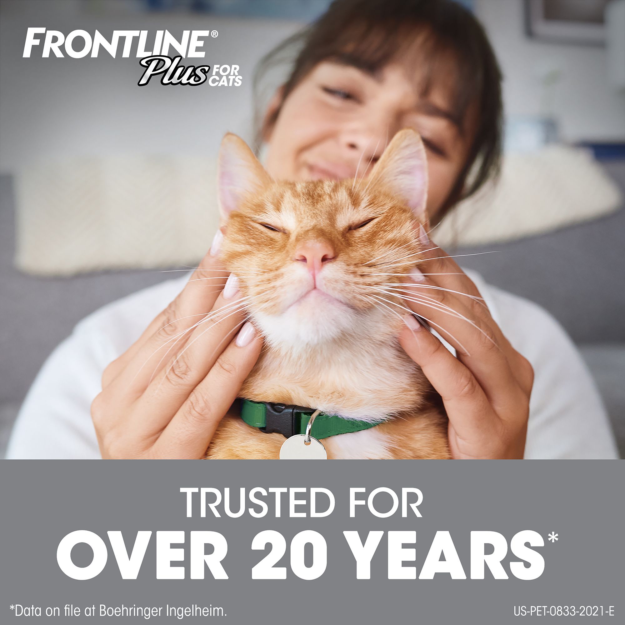 Cost of frontline for cats hotsell