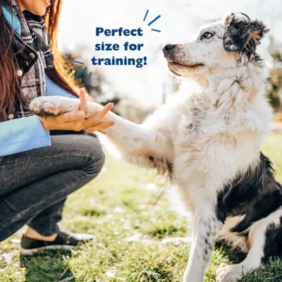 Product Bil-Jac® PBnanas Peanut Butter & Banana Soft Dog Treat