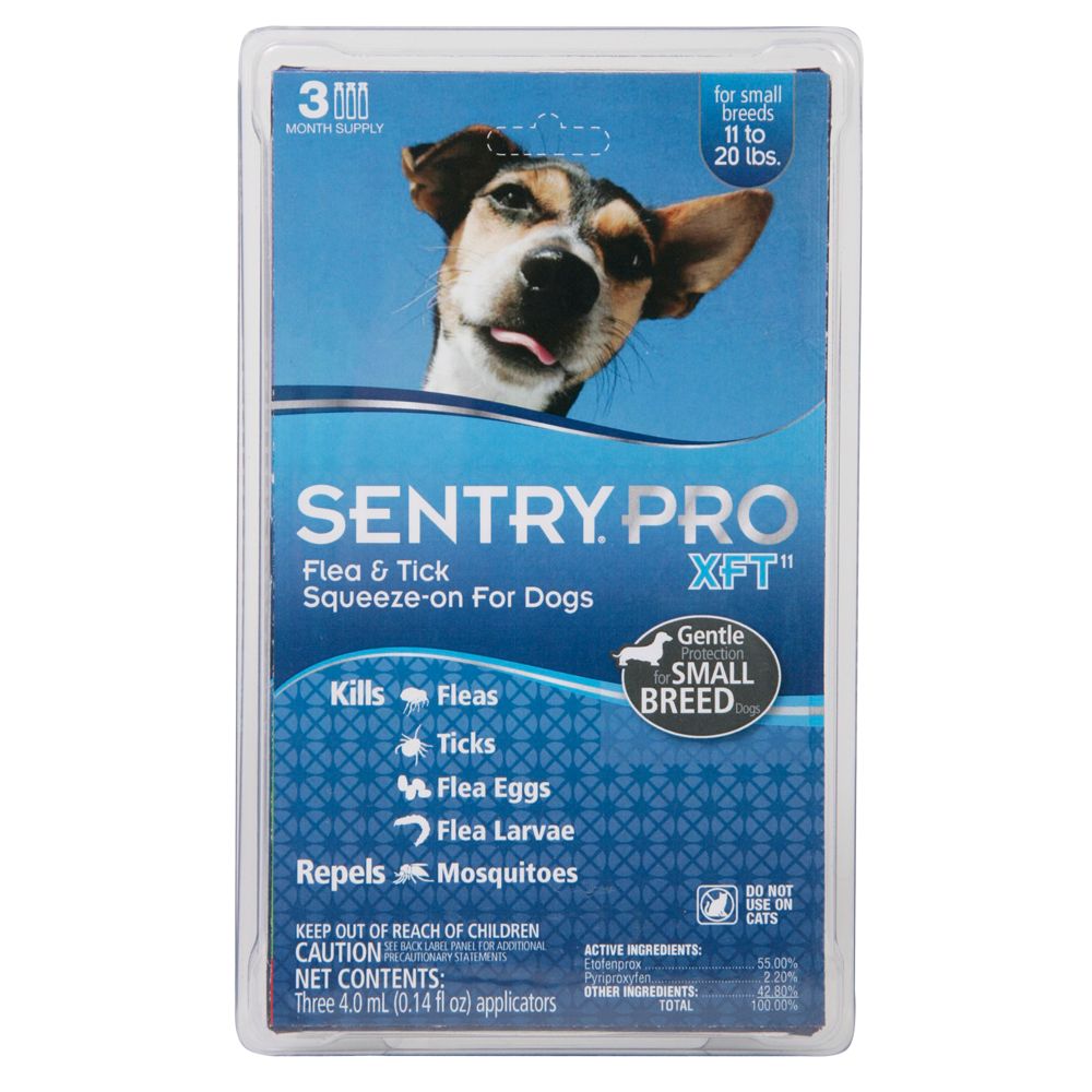 sentry dog collar flea