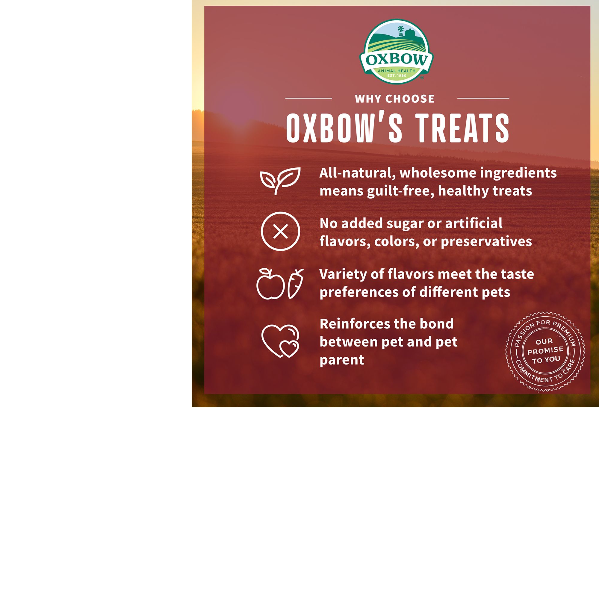treat points petsmart