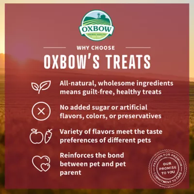 Oxbow Simple Rewards Freeze Dried Small Pet Treats - Strawberry