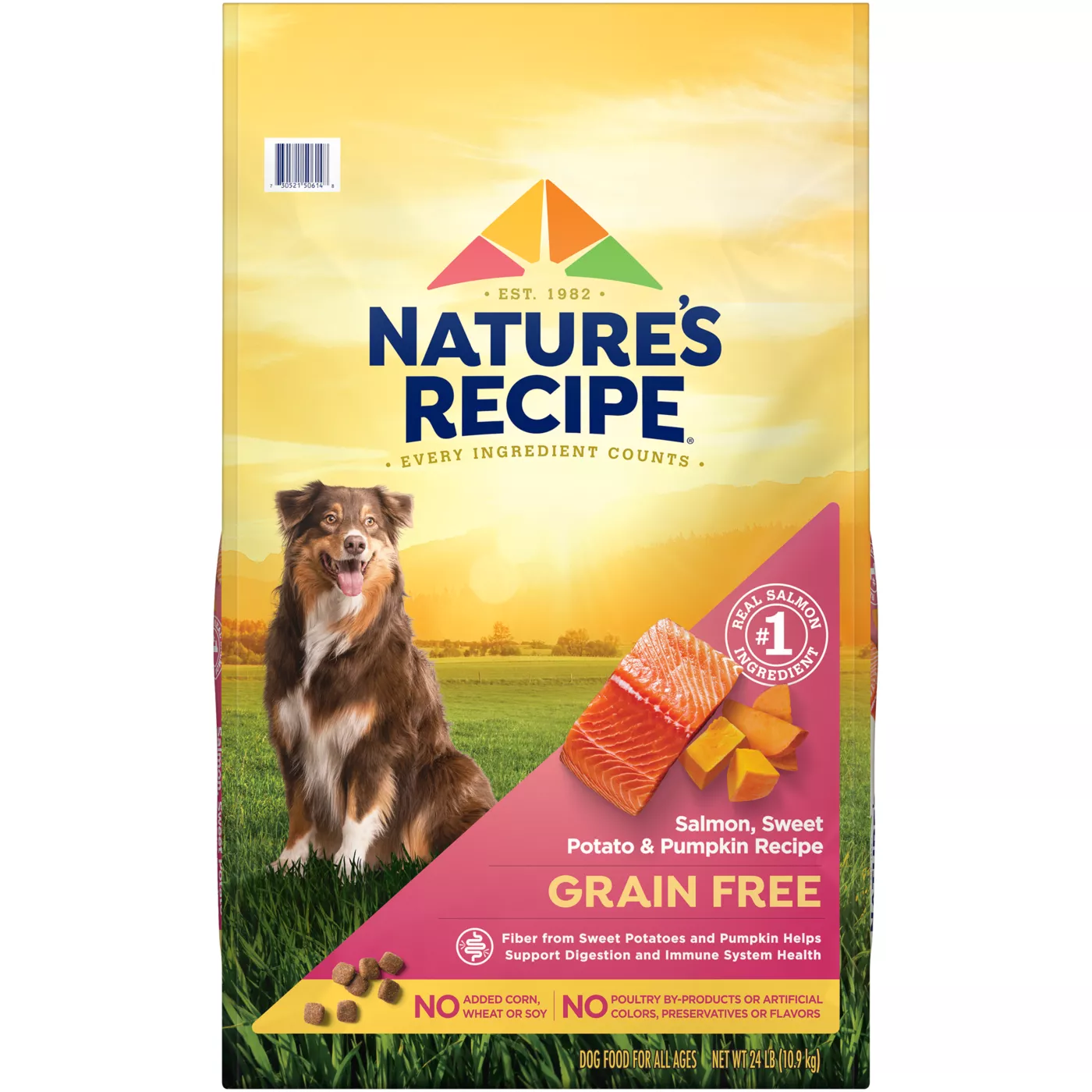 Nature s Recipe Adult Dry Dog Food Salmon Sweet Potato Pumpkin