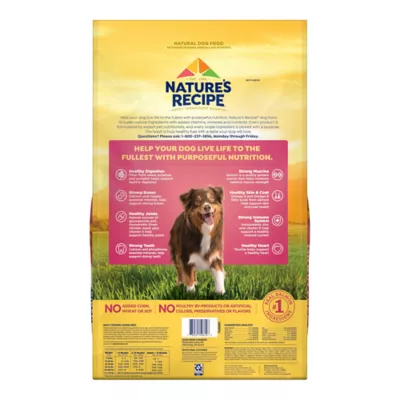 Nature s Recipe Adult Dry Dog Food Salmon Sweet Potato Pumpkin