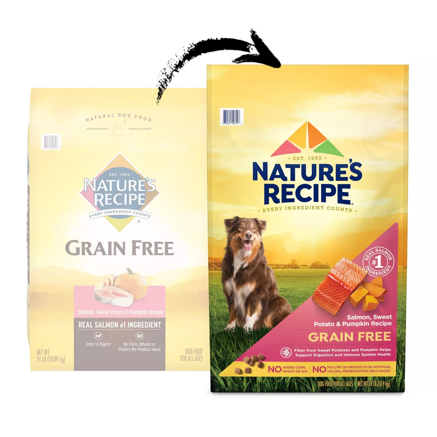 Natures recipe dog food shops salmon