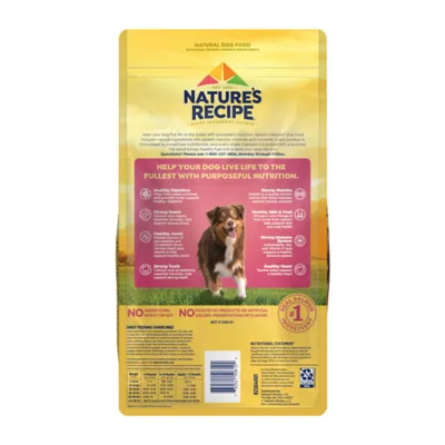 Product Nature's Recipe Adult Dry Dog Food - Salmon, Sweet Potato, Pumpkin