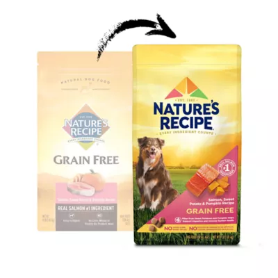 Product Nature's Recipe Adult Dry Dog Food - Salmon, Sweet Potato, Pumpkin