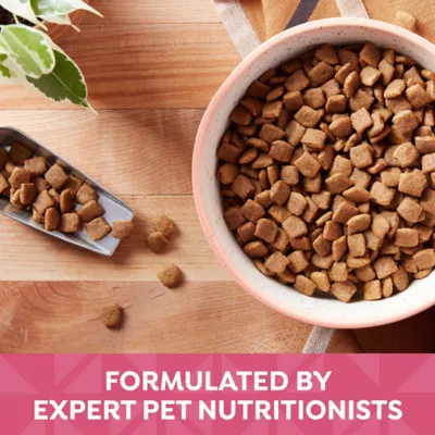 Product Nature's Recipe Adult Dry Dog Food - Salmon, Sweet Potato, Pumpkin