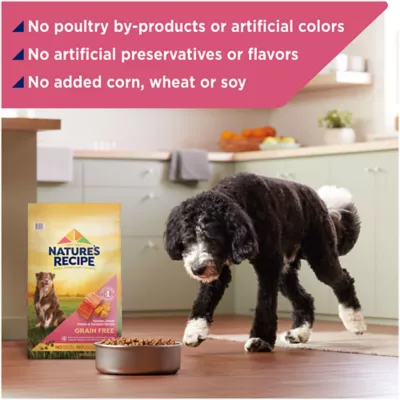 Product Nature's Recipe Adult Dry Dog Food - Salmon, Sweet Potato, Pumpkin