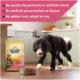 Product Nature's Recipe Adult Dry Dog Food - Salmon, Sweet Potato, Pumpkin