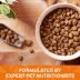 Nature's Recipe Adult Dry Dog Food - Chicken, Sweet Potato, Pumpkin image thumbnail 4