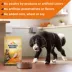 Nature's Recipe Adult Dry Dog Food - Chicken, Sweet Potato, Pumpkin image thumbnail 5