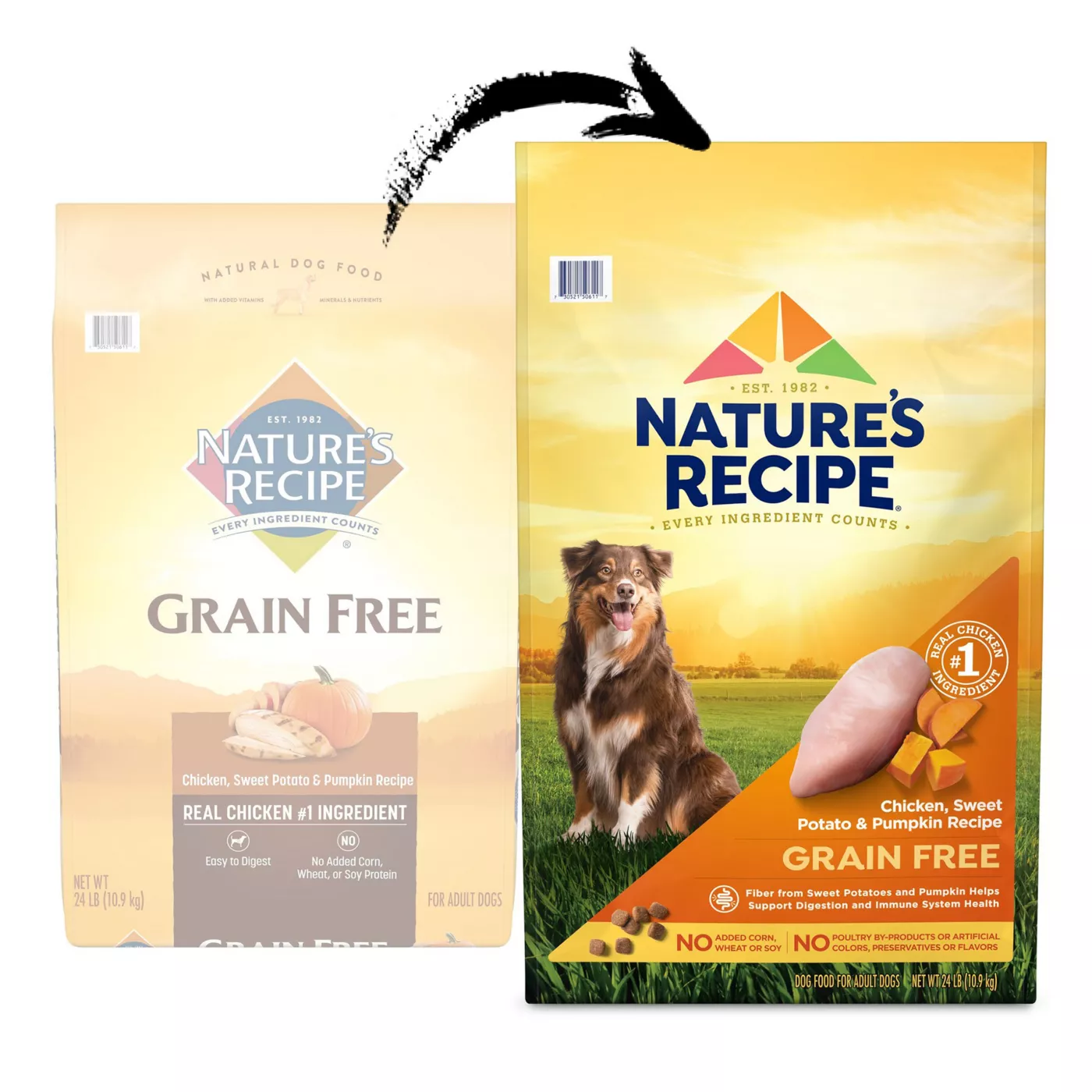 Natural life pet products chicken & potato dry dog food shops