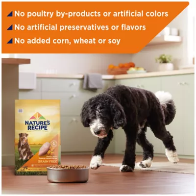 Nature's recipe sweet potato dog food best sale