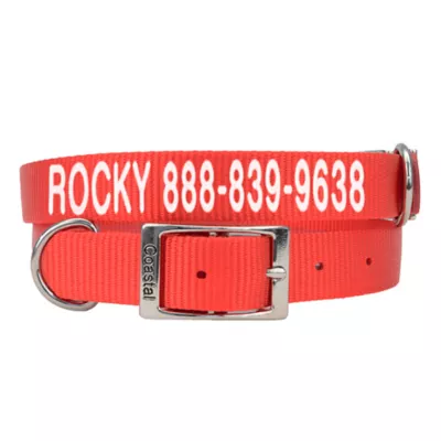 Coastal Pet Products Personalized Dog Collar - Image 1