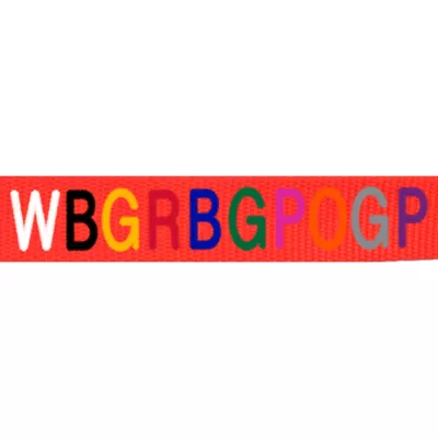 Coastal Pet Products Personalized Dog Collar - Image 2