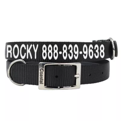 Coastal Pet Products Personalized Dog Collar - Image 1