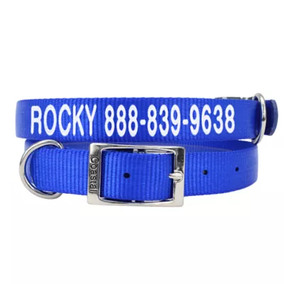 Coastal Pet Metal Buckle Nylon Personalized Dog Collar in Blue 1 Width Medium Large