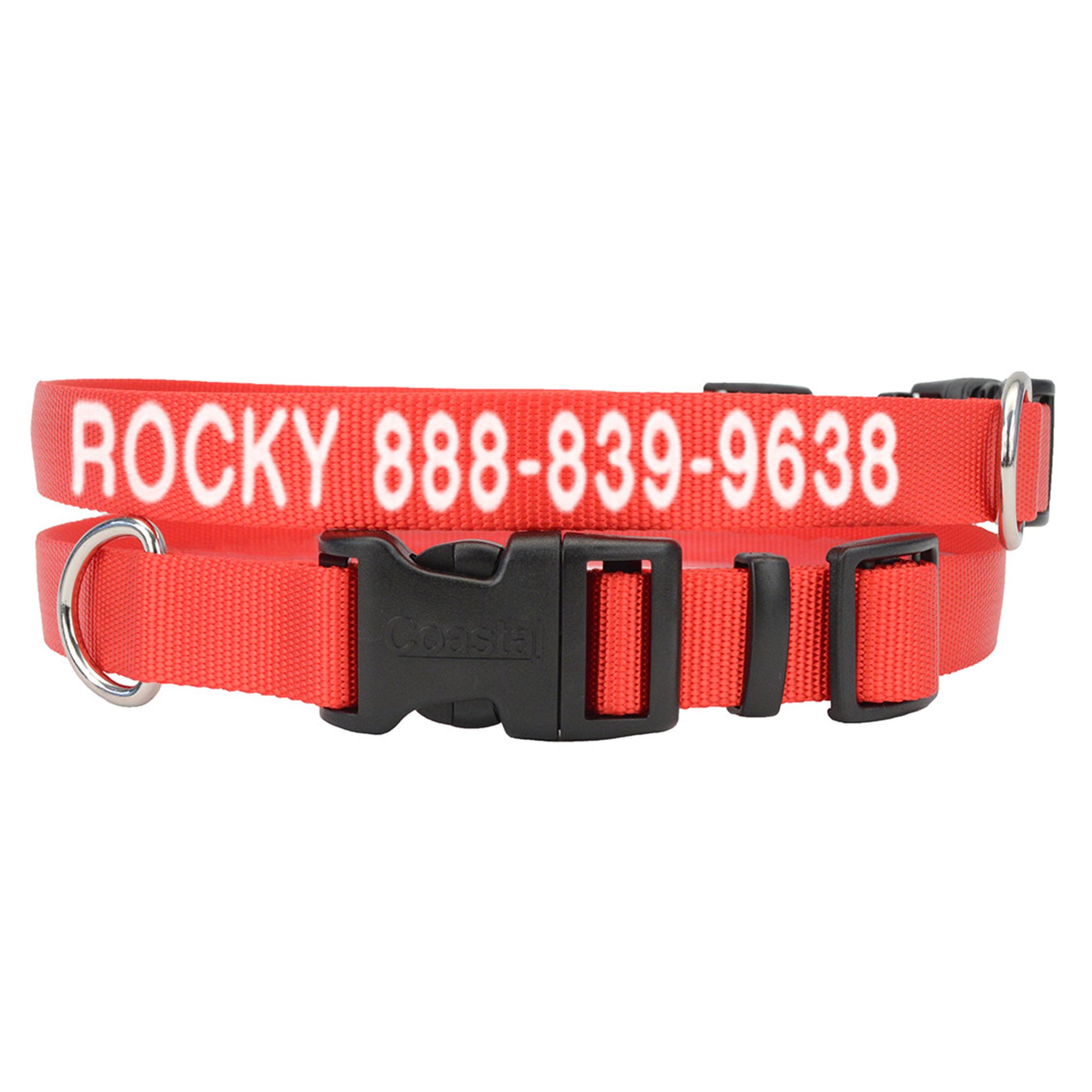 dog collar with name on buckle