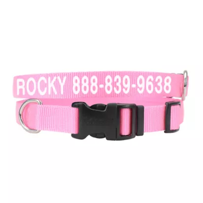 Coastal Pet Products Personalized Tough Dog Collar - Image 1